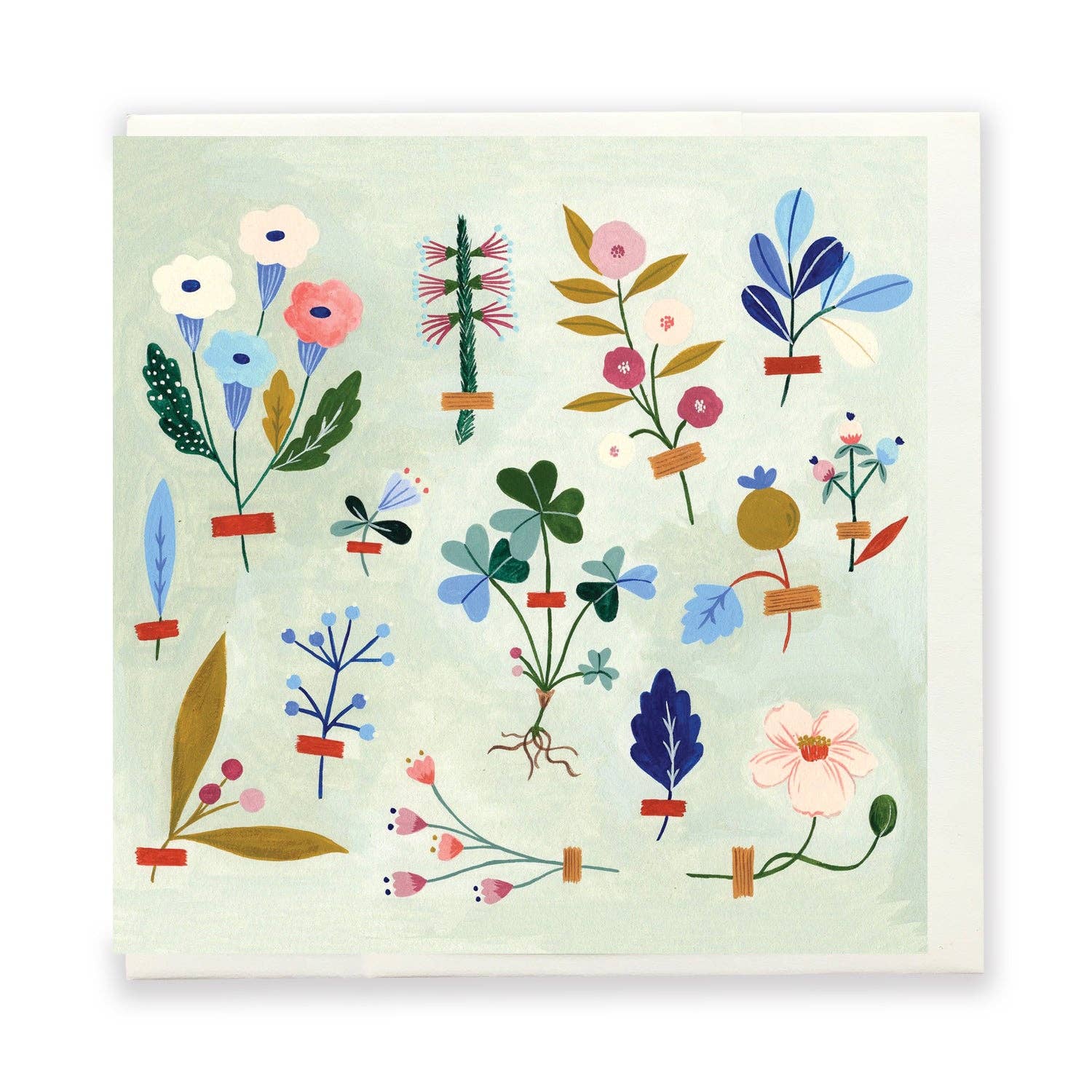 Tiny Plant Collector Card by Flora Waycott