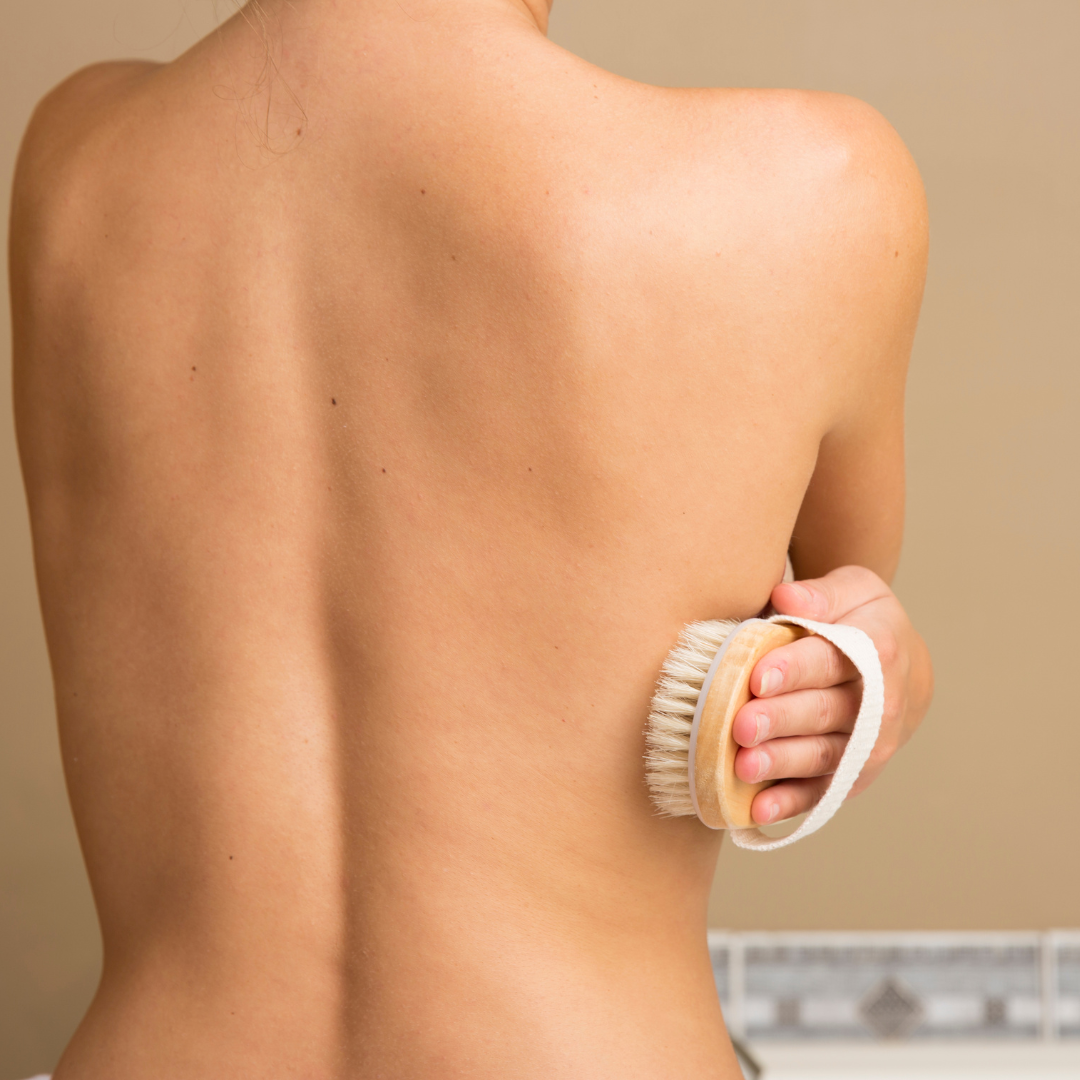 Dry Body Brushes
