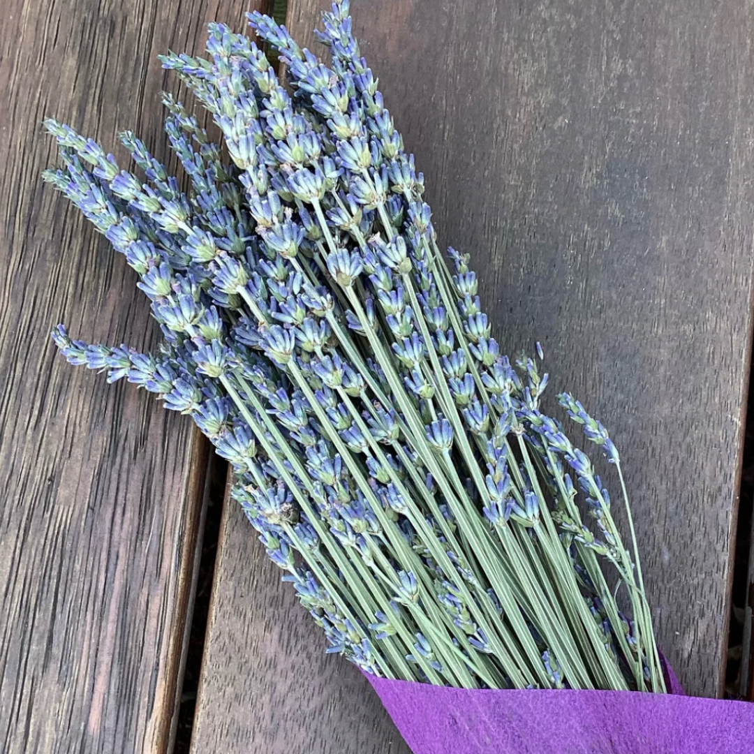 French Lavender Dried Brunch